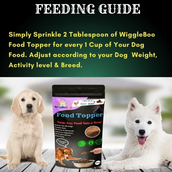 61YgFWjmDL._SL1080_.jpg Magical Dog Food Topper || Joy of Best Taste || Chicken & Beet Root Flavour || Grain Free & Protein Rich || Super Energy Food || 70g
