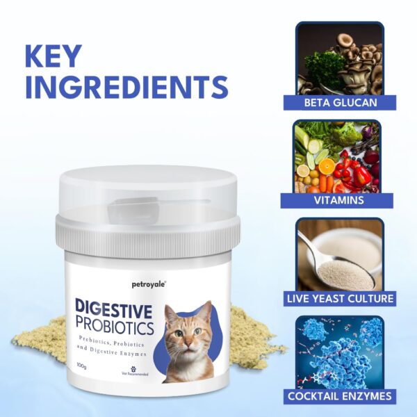 Petroyale Cat Digestive Probiotics - Cat Prebiotics & Probiotics Supplement - Prevents Diarrhea & Improves Gut Health - Cat Health Supplement for Digestion - 100 gm