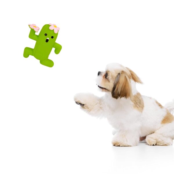 Cactus Man – Squeaky Toys for Dogs, Latex Dog Toys for Medium Dogs (0–20kgs) – Green