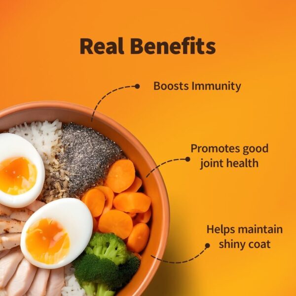 61xS5qlbpL._SL1080_.jpg Wet Dog Food 300 gm | Balanced Meals with Chicken, Pumpkin, Rice & Vegetables | High Protein Dog Food | No Added Flavours | Human-Grade Ingredients | All Life Stages