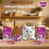 61-AmWvn8FL._SL1001_.jpg Whiskas Persian Kitten (2-12 Months) Dry Cat Food, 6.8kg, 100% Complete & Balanced Tailor Made Nutrition, Reduces Hairfall, for Healthy Coat & Skin