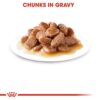 61-hdqjx3cL._SL1500_.jpg Royal Canin Urinary Care for Adult Cats, 85 Grams, Pack of 12 Sachet, Wet Food, Helps Maintain Urinary Tract Health, Supports Ideal Weight Management, Indistinctively Preferred