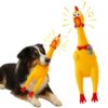 Western Era Squeaky Chicken Dog Toy 32CM | Rubber Rooster Shaped Interactive Chew Toy for Dogs & Puppies | Built-in Squeaker for Fetch & Training | Textured Surface for Teeth Cleaning | Funny Dog Toy