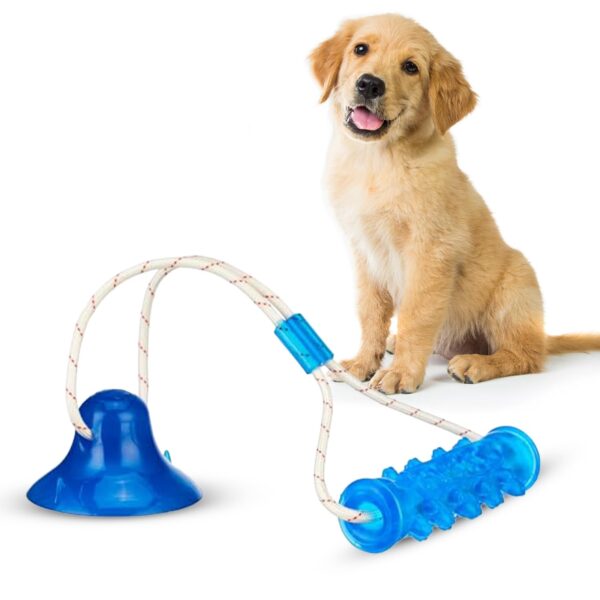 amazon basics Tug of War Interactive Dog Toy | Blue amazon basics Tug of War Interactive Dog Toy | Blue | Suction Cup | Chew Grip with Rope | Stimulating & Interactive Ball for Teeth Cleaning