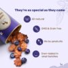 Heads Up For Tails HUFT Adult Goat Milk Dog Cookies - Blueberry | Premium Dog Biscuits for Puppies, Pomeranians & Adult Dogs | Veg Dog Treats for Training, Snacking & All Breeds - 200 gm