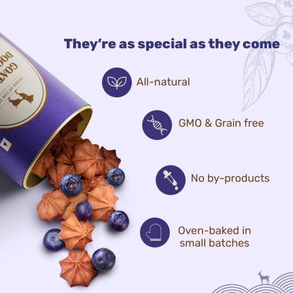 Heads Up For Tails HUFT Adult Goat Milk Dog Cookies - Blueberry | Premium Dog Biscuits for Puppies, Pomeranians & Adult Dogs | Veg Dog Treats for Training, Snacking & All Breeds - 200 gm