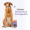 Heads Up For Tails Yum Nums Chicken,Blueberries & Ashwagandha Soft Treat for Senior Dog|High in Proteins|Gluten & Grain Free|Salt & Sugar Free|No Artificial Colours|Farm-Fresh - 70 Gm,Tablet