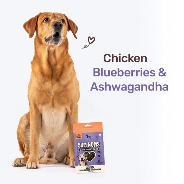 Heads Up For Tails Yum Nums Chicken,Blueberries & Ashwagandha Soft Treat for Senior Dog|High in Proteins|Gluten & Grain Free|Salt & Sugar Free|No Artificial Colours|Farm-Fresh - 70 Gm,Tablet