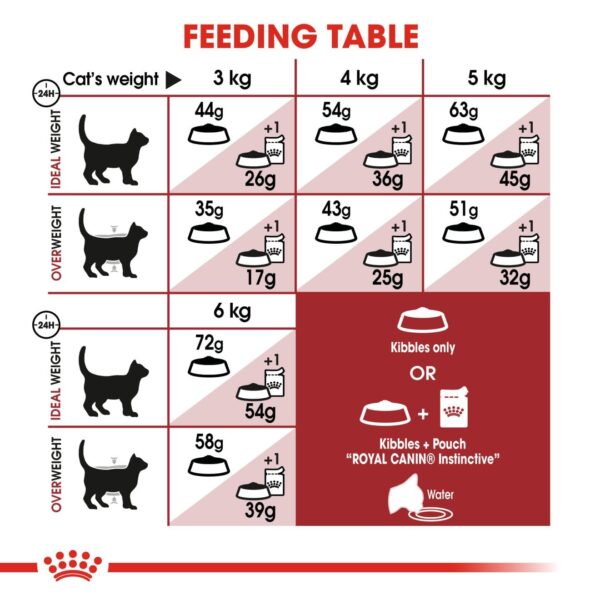 Royal Canin Fit 32 Regular for Adult Cats, 1 Kg, Dry Food, Supports Optimal Nutrient Profile and Healthy Weight