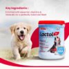 61141hsK-SL._SL1080_.jpg Beaphar Lactol Newborn Puppy Dog Milk Food with DHA, Vitamins & Minerals, Puppy Milk Replacer, Free Lactol Feeding Set - 400g