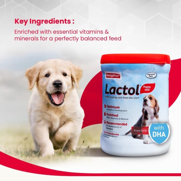 61141hsK-SL._SL1080_.jpg Beaphar Lactol Newborn Puppy Dog Milk Food with DHA, Vitamins & Minerals, Puppy Milk Replacer, Free Lactol Feeding Set - 400g