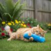 6116Vy3MVnL._SL1184_.jpg Cat Kicker Plush Toy Set for Cats & Kittens | Soft, Colorful & Lightweight Toys with Catnip fillable Pocket | Non-Squeaky, Fun Indoor Play | Pack of 3 (Colors May Vary)