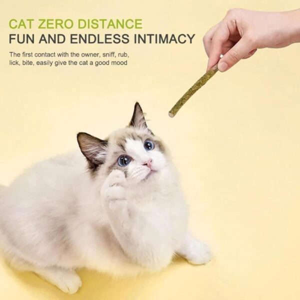 cature Care by Nature Cat Chew Sticks - Natural Catnip Toys With Mint Stick For Cat Teeth Cleaning & Playful Entertainment