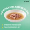 Schesir Soup with Wild Tuna & Squid – Premium Natural Cat Wet Food | Protein-Rich, Omega-3 for Skin & Coat, Easy to Digest, Grain-Free, No Additives, 85g