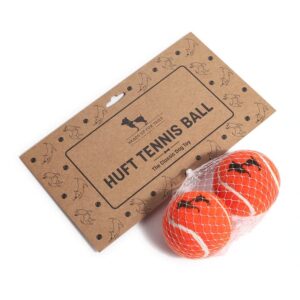 Heads Up For Tails Quintessential Tennis Dog Ball - Set of 2