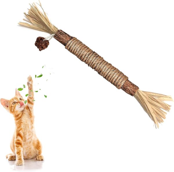 1 Pack Silvervine Cat Toy, Silvervine Sticks Cat Toys for Indoor Cats, Cat & Kitten Chew Toys for Aggressive Chewers, Cat Dental Toy for Kitten Teeth Cleaning, Matatabi Silvervine for Cats.