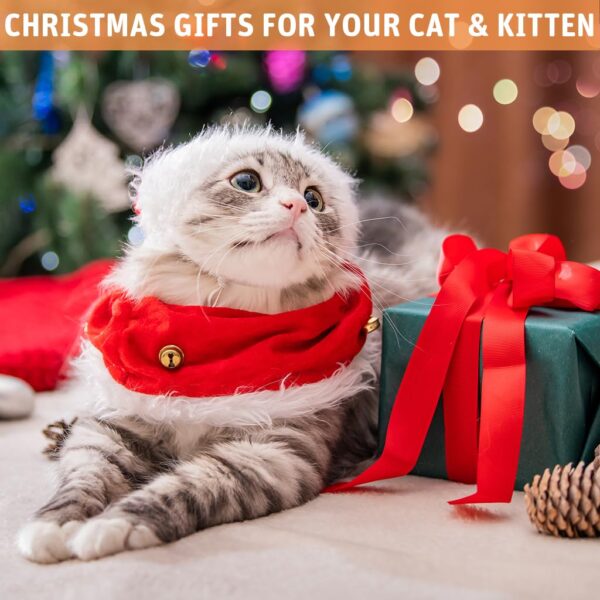 61265vv6RhL._SL1024_.jpg Qpets® Cat Feather Toy, Cat Feathered Teasing Wand Toy Dual-Wire Flexible Teasing Wand Suction Cup Colored Feathered Floor