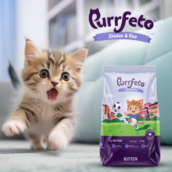 Kitten Dry Cat Food | Chicken & Rice | 1.2 kg |40% Reduction in Urinary Tract Diseases | Promotes Brain & Vision Development | Enhances Immunity |Improves Digestive Health