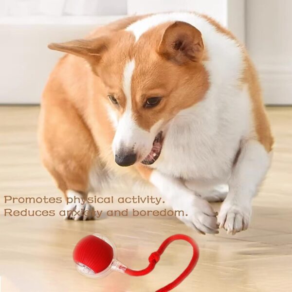 Interactive Rolling Dog Toy – 360° Electric Smart Rolling Ball for Dogs – Automatic Pet Ball with Lights – Fun Exercise Toy for Small & Medium Dogs (Style 3)