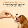 612S10LWFTL._SL1080_.jpg PETS EMPIRE O'Dog Fish Shape Salmon Fillet, Healthy Dog Treats, Chewy Dogs Bites for Training and Feeding, Made with Real Salmon, Non-Vegetarian Pup Snacks for Dogs, Puppies - 100g