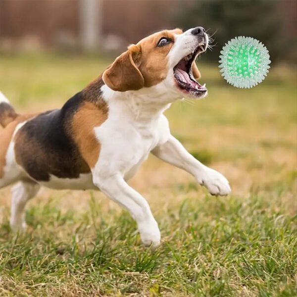 RvPaws RV Paws Large Size Spike Ball - Squeaky Dog Toy With Inner Ball - Suitable For Large & Medium Breeds - 1 Pack