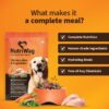 613attVRjBL._SL1080_.jpg Wet Dog Food 300 gm | Balanced Meals with Chicken, Pumpkin, Rice & Vegetables | High Protein Dog Food | No Added Flavours | Human-Grade Ingredients | All Life Stages