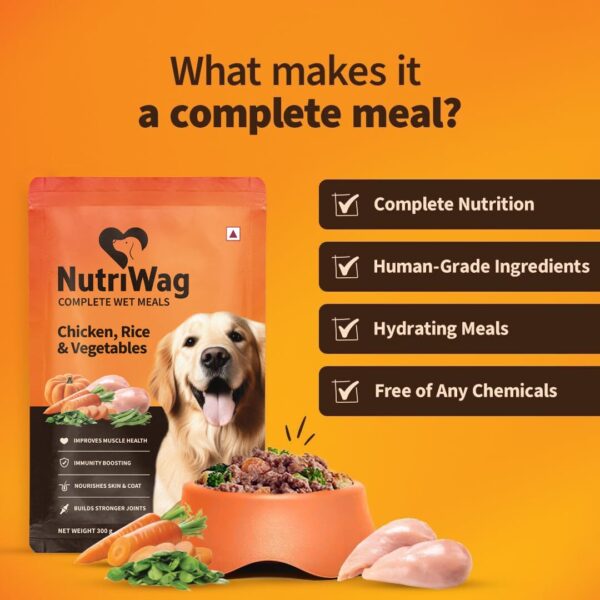 613attVRjBL._SL1080_.jpg Wet Dog Food 300 gm | Balanced Meals with Chicken, Pumpkin, Rice & Vegetables | High Protein Dog Food | No Added Flavours | Human-Grade Ingredients | All Life Stages
