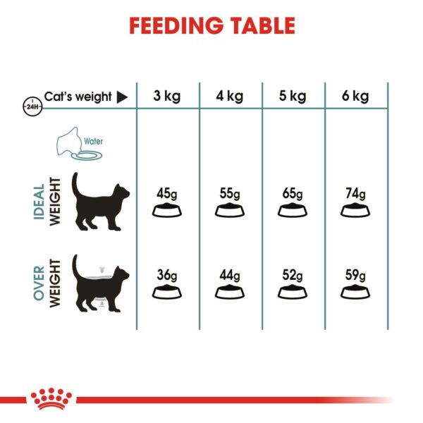 Royal Canin Hairball Care for Cats, 400 Grams, Dry Food, Dietary Fiber Blend, Provides 2X Hair Excretion, Proven Results in 14 Days