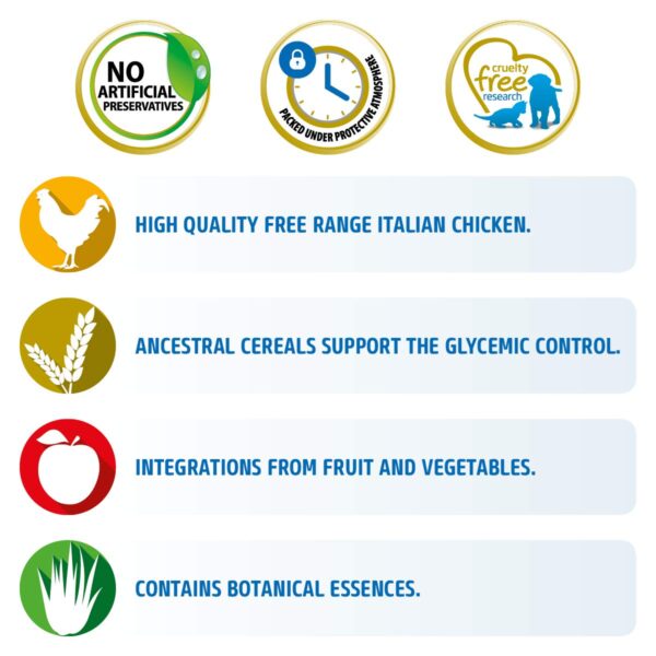 Farmina N&D Ancestral Grain Adult Mini Dog Food | Chicken, Spelt, Oats & Pomegranate | No Artificial Preservatives|Complete Nutrition for Adult Dogs | 0.8kg