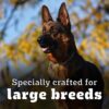 613hVkpcYOL._SL1200_.jpg Pedigree PRO Adult Large Breed, 3 kg Dry Dog Food, Vet Trusted Brand, Expert Nutrition, Quality Protein, 33% More Nutrients (18 Months Onwards)