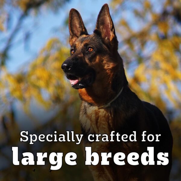 613hVkpcYOL._SL1200_.jpg Pedigree PRO Adult Large Breed, 3 kg Dry Dog Food, Vet Trusted Brand, Expert Nutrition, Quality Protein, 33% More Nutrients (18 Months Onwards)