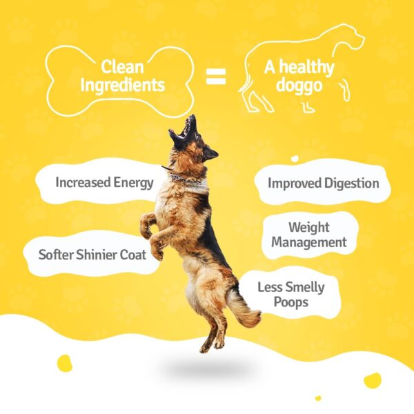 613sykPsBlL._SL1080_.jpg BLEP Healthy Dog Food for Adult & Puppies | Chicken Zucchini | Zero Preservatives | Wet Dog Food | Travel Packs | Complete Meal & Balanced Dog Food | 700g | 7 Packs of 100g