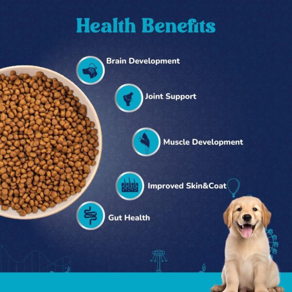 613yEf2VhEL._SL1080_.jpg Fresh Chicken Puppy Dry Dog Food 1kg | Natural Ingredients for Healthy Skin & Coat | Highly Palatable | Supports Brain & Muscle Development | Tailored, Premium Nutrition for Large Dogs