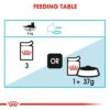 614RqA02KML._SL1500_.jpg Royal Canin Urinary Care for Adult Cats, 85 Grams, Pack of 12 Sachet, Wet Food, Helps Maintain Urinary Tract Health, Supports Ideal Weight Management, Indistinctively Preferred