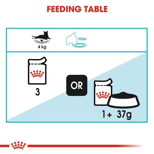 614RqA02KML._SL1500_.jpg Royal Canin Urinary Care for Adult Cats, 85 Grams, Pack of 12 Sachet, Wet Food, Helps Maintain Urinary Tract Health, Supports Ideal Weight Management, Indistinctively Preferred