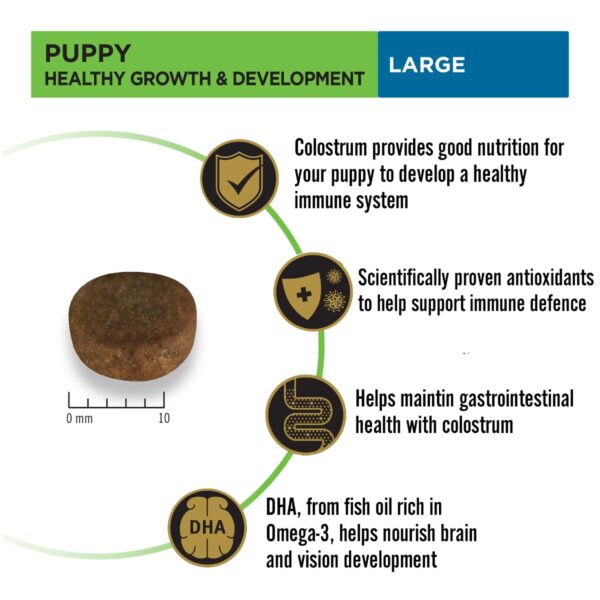 614YoaaxNL._SL1200_.jpg PURINA PRO Plan Puppy Food for Large Sized dogs-1kg