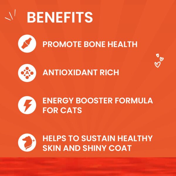 614bKzIP5eL._SL1500_.jpg Goofy Tails Wet Cat Food and Kitten Food 3 Combo, 1050g (15 Pouches x 70g), Tuna and Anchovies, Mackerel and Seaweed, Chicken and Flaxseeds, Preservative Free, Wholesome, Natural Cat Wet Food