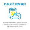 614mjDvg8lL._SL1000_.jpg Vivaldis Calowries - Weight Management Food Topper Supplement for Dogs & Cats, 150 Gm