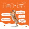 615Q75rXwdL._SL1080_.jpg BLEP Fresh Dog Food (Wet) Human Grade, Grain Free|Paneer, Quinoa & Mixed Veggies|Omega 3, 6, Vitamin A, D, E, B|Zero Preservatives & Sugar|Easily Digestible|for All Dog Breeds|100g (Pack of 1)