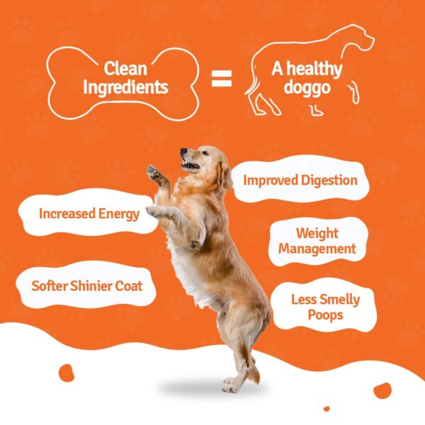 615Q75rXwdL._SL1080_.jpg BLEP Fresh Dog Food (Wet) Human Grade, Grain Free|Paneer, Quinoa & Mixed Veggies|Omega 3, 6, Vitamin A, D, E, B|Zero Preservatives & Sugar|Easily Digestible|for All Dog Breeds|100g (Pack of 1)