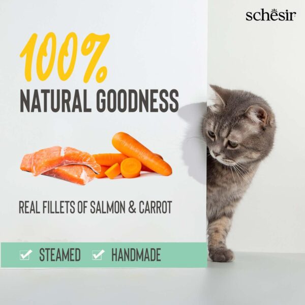 615WlPeOlpL._SL1500_.jpg Schesir Pink Salmon & Carrot Cat Soup – Premium Wet Cat Food Pouch | Natural, High-Protein, Omega-Rich, Tasty Soup for Adult Cats – Supports Skin & Digestion, 85g (Pack of 2)