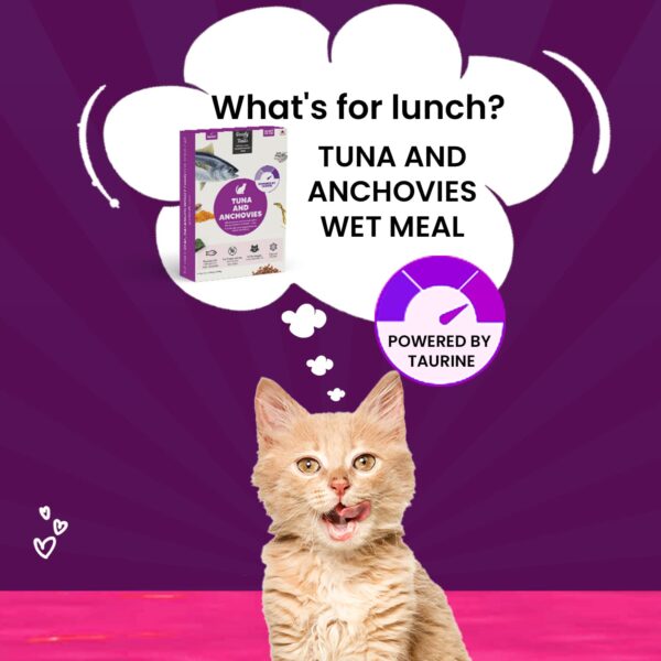 615WphNuADL._SL1500_.jpg Goofy Tails Tuna and Anchovies Wet Cat Food and Kitten Food, 350g (70g X 5 Pouches), Preservative Free, Gluten & Grain Free, Balanced Cat Wet Food, Powered by Taurine with Omega 3 & Antioxidants