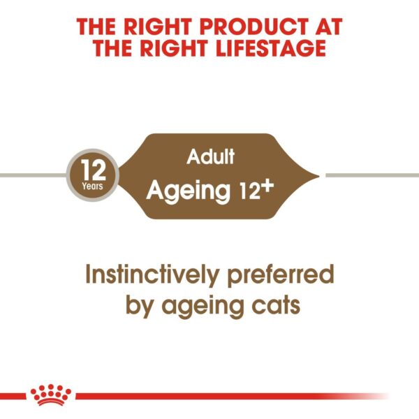 Royal Canin Ageing Cat Food, 85 Grams, Pack of 12 Sachet, Wet Food, Supports Joint & Renal Health, Instinctively Preferred by Ageing Cats