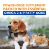 Petroyale Omega 3 Fish Oil for Dogs & Cats - Salmon Fish Oils with Omega 3 6 9 - Supports Skin, Coat, Joints & Immunity- Fish Oil for Dogs & Cats - Vet-Approved Formula - Easy Serve Pump