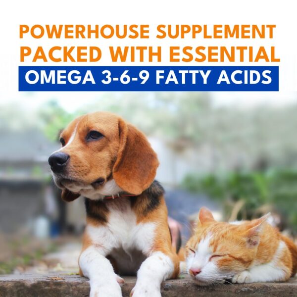 Petroyale Omega 3 Fish Oil for Dogs & Cats - Salmon Fish Oils with Omega 3 6 9 - Supports Skin, Coat, Joints & Immunity- Fish Oil for Dogs & Cats - Vet-Approved Formula - Easy Serve Pump