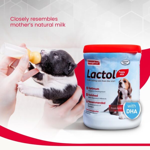 616rQT7z-AL._SL1080_.jpg Beaphar Lactol Newborn Puppy Dog Milk Food with DHA, Vitamins & Minerals, Puppy Milk Replacer, Free Lactol Feeding Set - 400g
