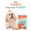 HUFT Yum Nums Soft & Chewy Sticks - Pumpkin with Chicken | Dog & Puppy Treats | Training Snacks for Small & Adult Dogs | High-Protein, Healthy Dog Treats - 75gm