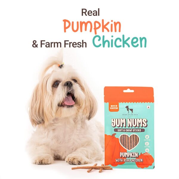 HUFT Yum Nums Soft & Chewy Sticks - Pumpkin with Chicken | Dog & Puppy Treats | Training Snacks for Small & Adult Dogs | High-Protein, Healthy Dog Treats - 75gm