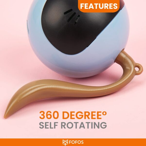 BarkButler X FOFOS Whirli Cat Toy - Interactive Cat Toys, Toys for Kitten and Adult Cats