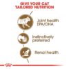 Royal Canin Ageing Cat Food, 85 Grams, Pack of 12 Sachet, Wet Food, Supports Joint & Renal Health, Instinctively Preferred by Ageing Cats